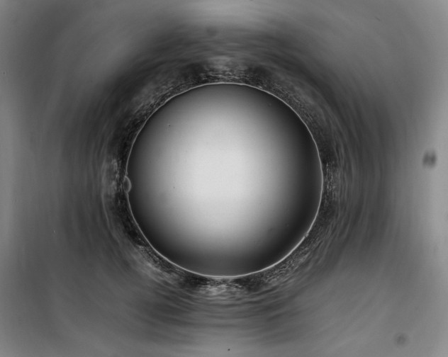 X0000100380752200806061218
