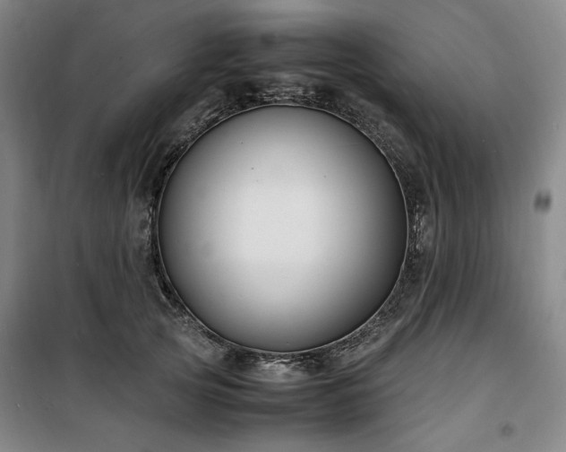 X0000100380753200806061218