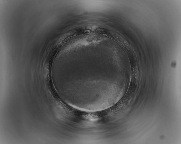 X0000100380754200806061218