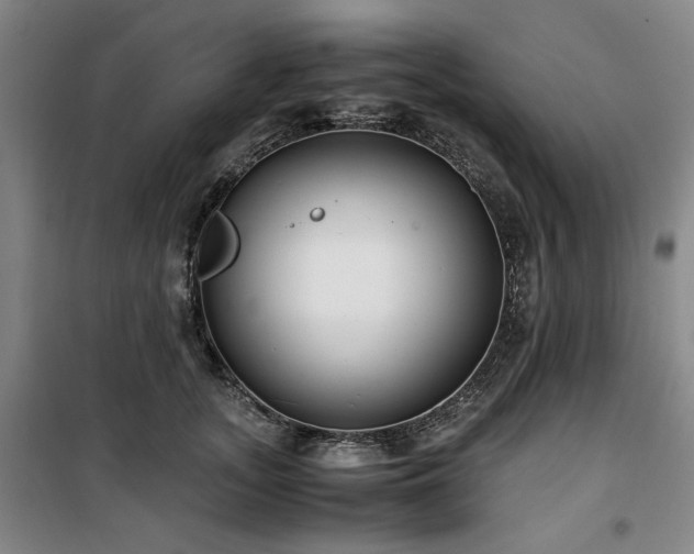 X0000100380755200806061218