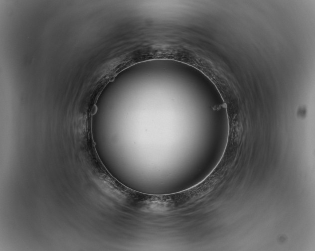X0000100380756200806061218