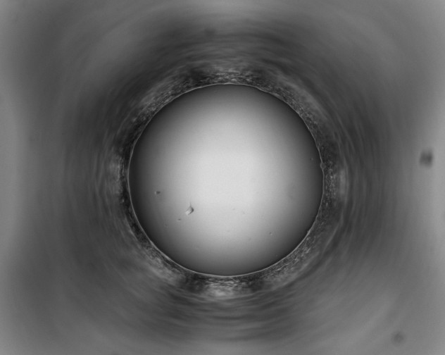 X0000100380757200806061218