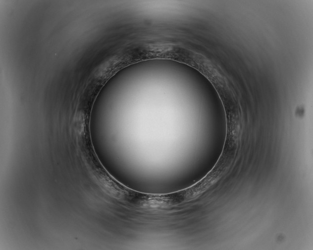 X0000100380758200806061218