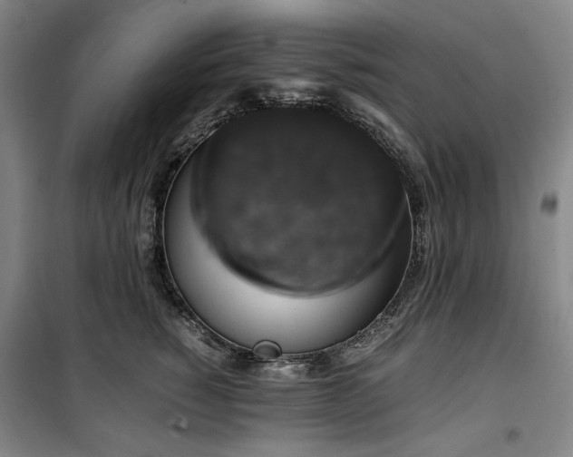 X0000100380760200806061218