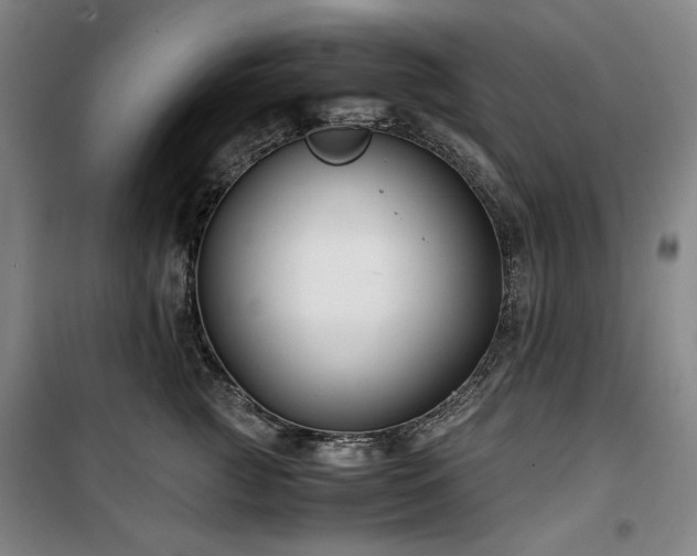 X0000100380761200806061218