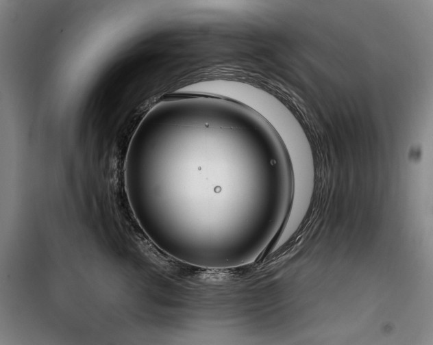 X0000100380762200806061218