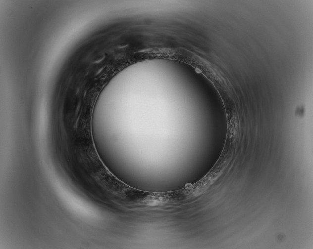 X0000100380764200806061218