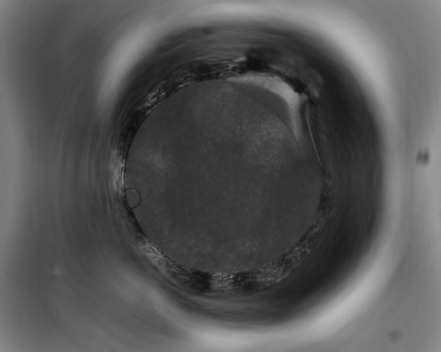 X0000100380766200806061218