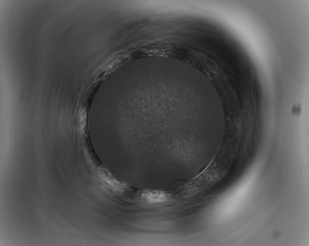 X0000100380767200806061218