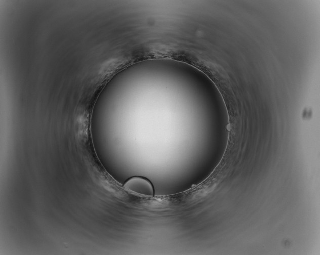 X0000100380768200806061218