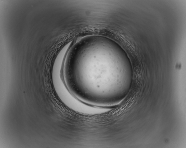 X0000100380769200806061218