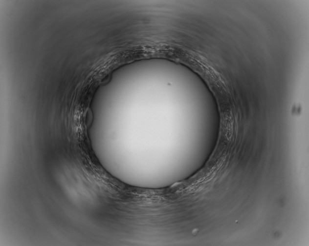 X0000100380770200806061218