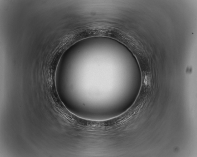 X0000100380771200806061218
