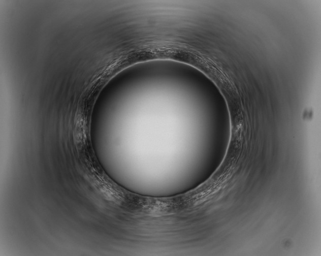 X0000100380772200806061218