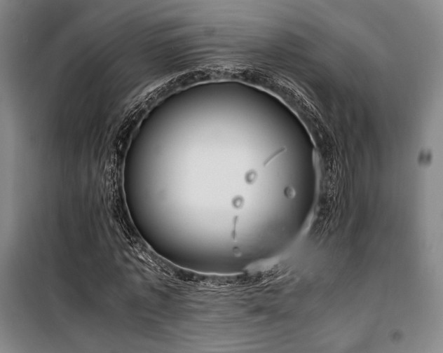 X0000100380773200806061218