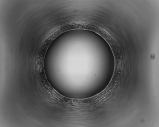X0000100380774200806061218