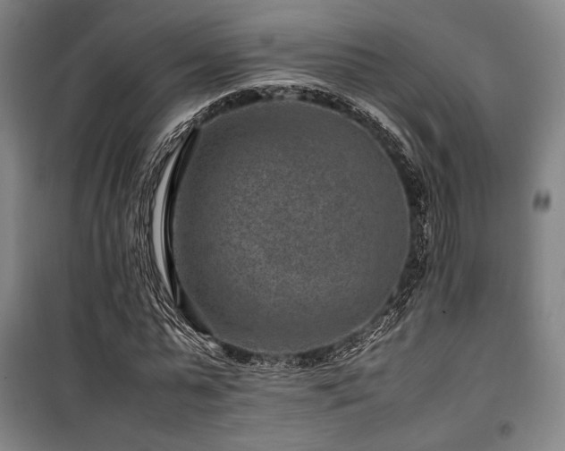 X0000100380775200806061218