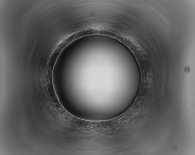 X0000100380776200806061218