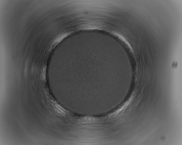 X0000100380777200806061218