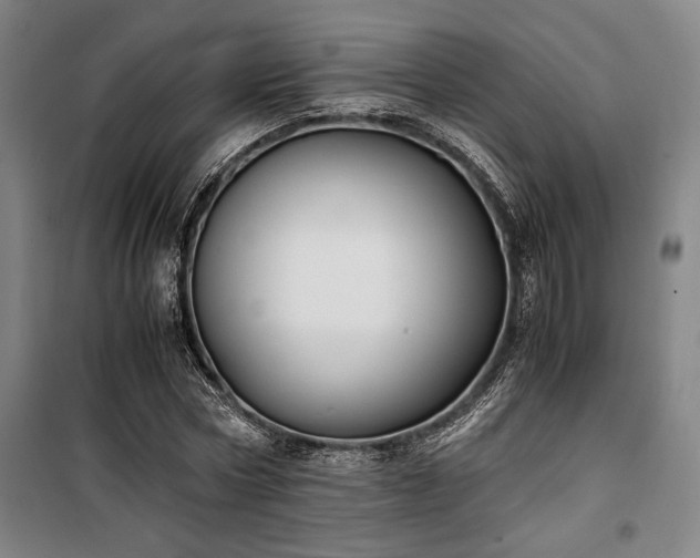 X0000100380778200806061218