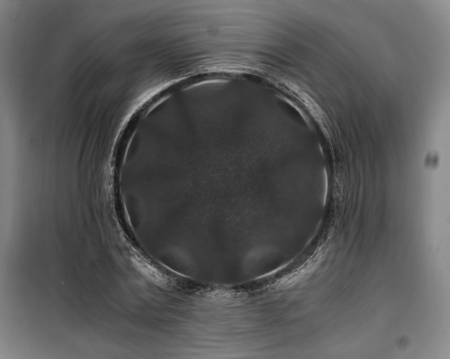 X0000100380779200806061218