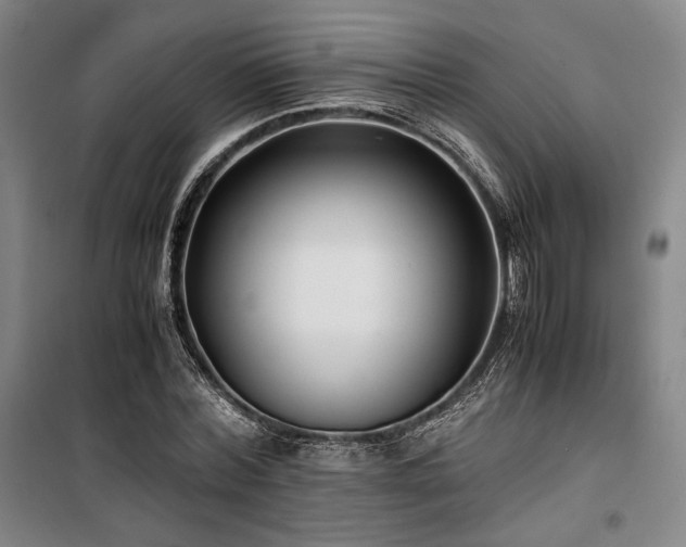 X0000100380780200806061218