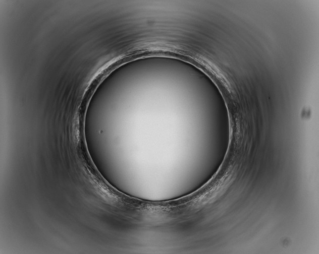X0000100380782200806061217