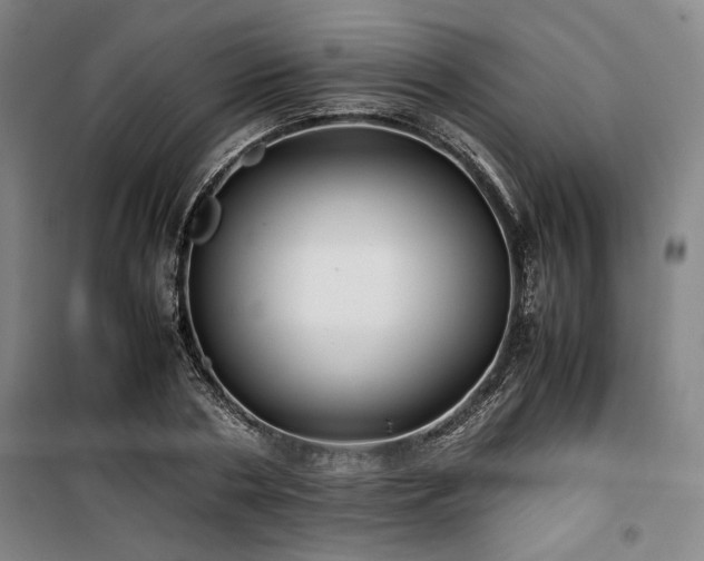 X0000100380786200806061217