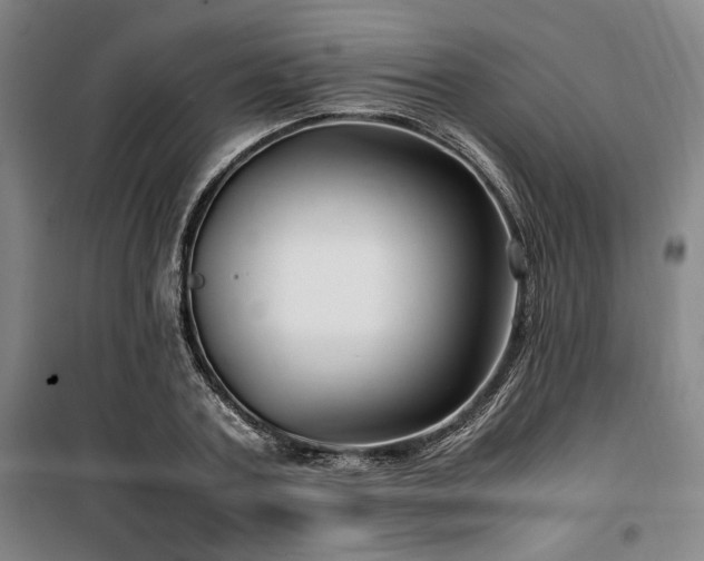 X0000100380787200806061217