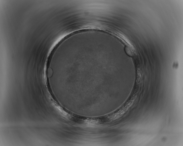 X0000100380788200806061217