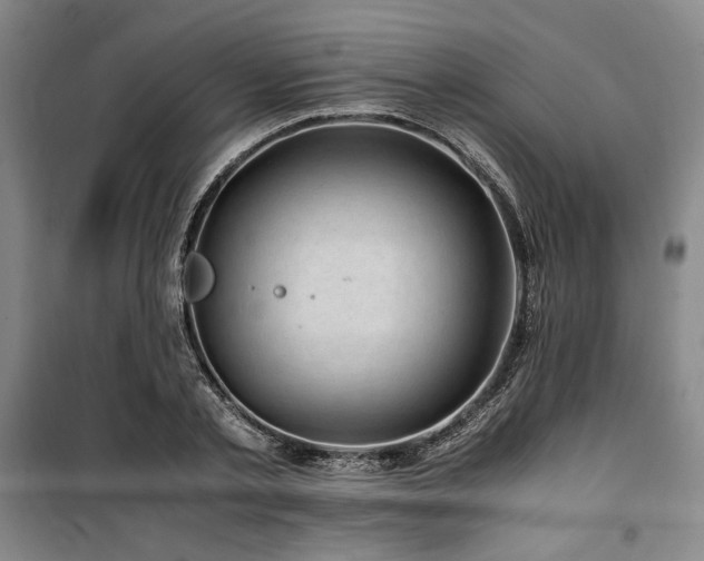 X0000100380789200806061217
