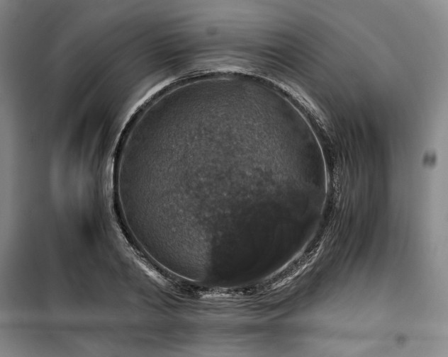 X0000100380790200806061217