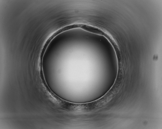 X0000100380791200806061217