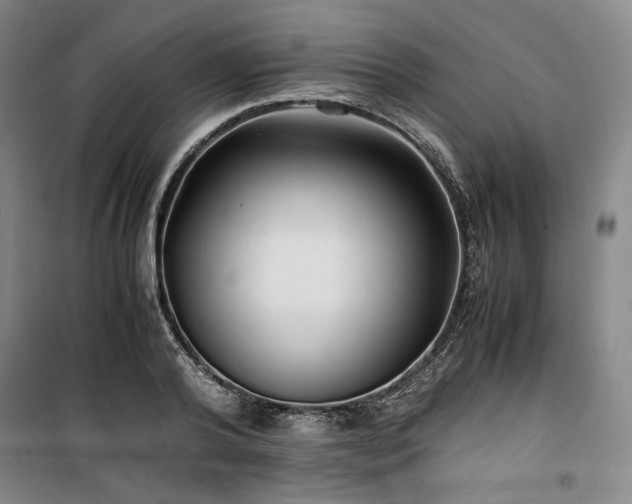 X0000100380792200806061217