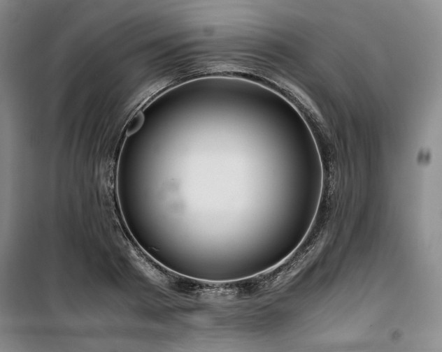 X0000100380793200806061217