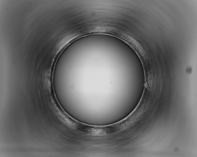X0000100380794200806061217