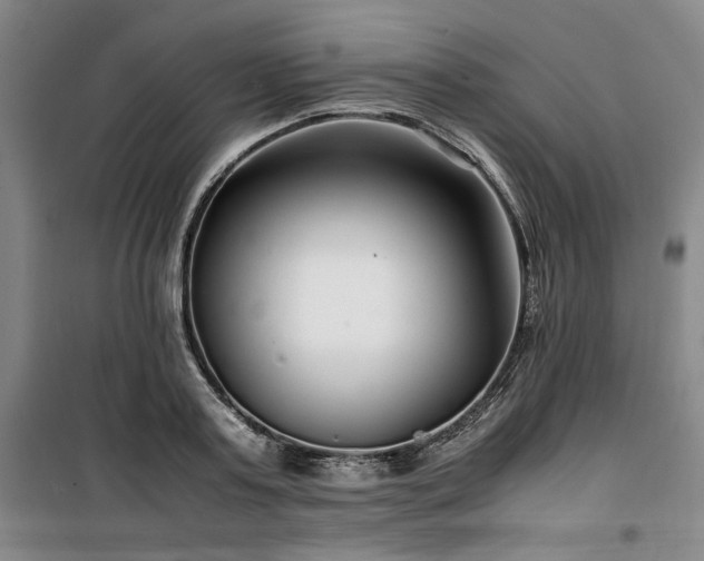 X0000100380795200806061217