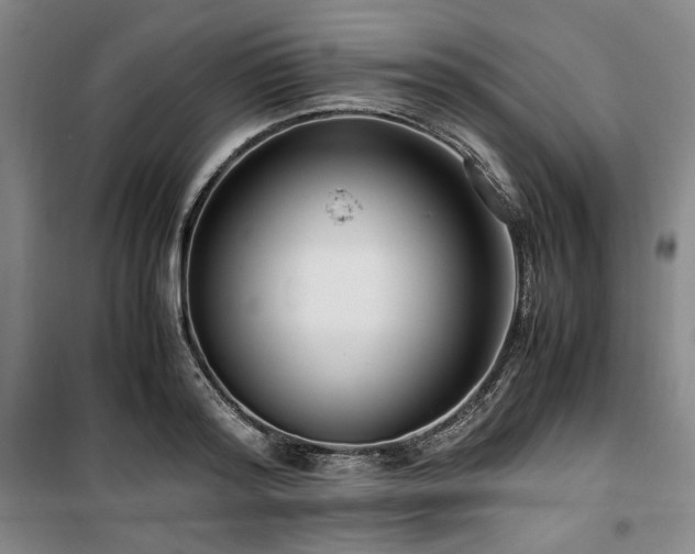 X0000100380796200806061217