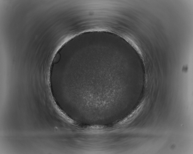 X0000100380797200806061217