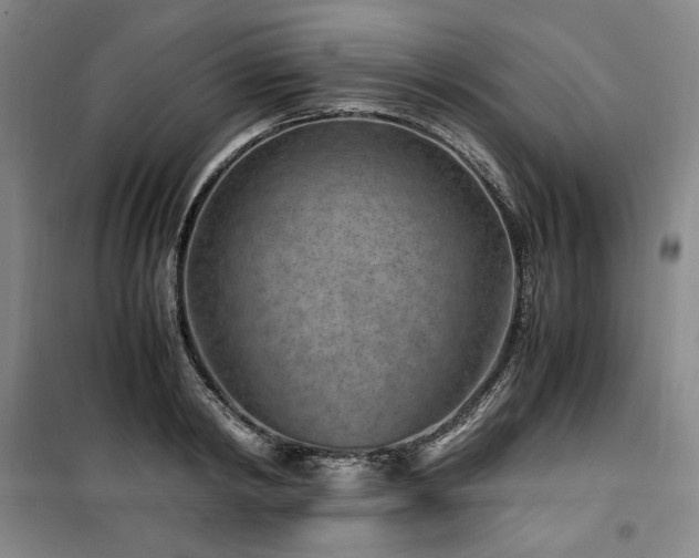 X0000100380798200806061217