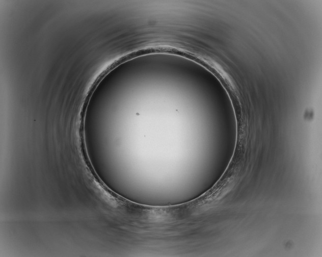 X0000100380799200806061217