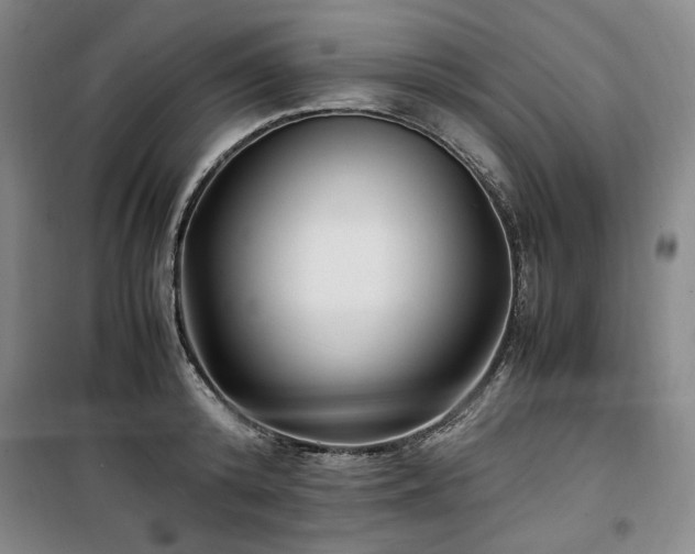 X0000100380800200806061217