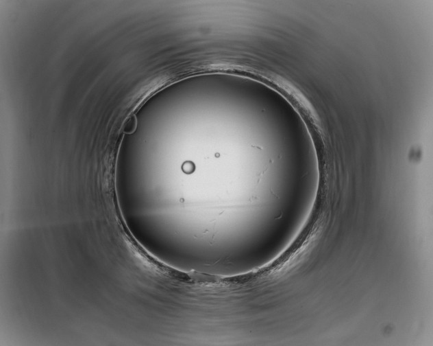 X0000100380801200806061217
