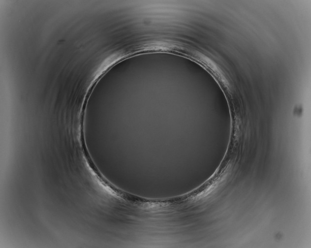 X0000100380802200806061217