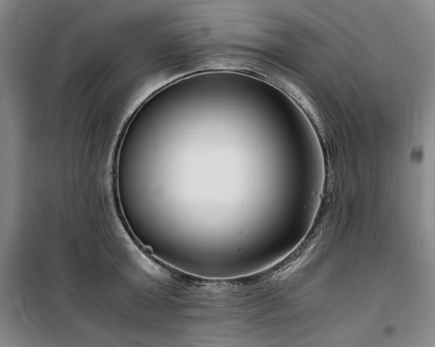 X0000100380803200806061217