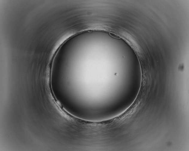 X0000100380804200806061217
