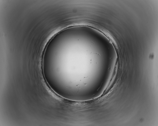 X0000100380805200806061217