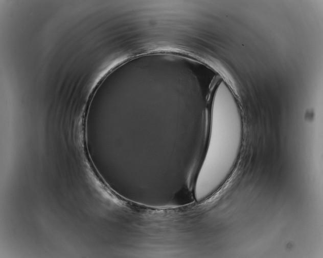 X0000100380806200806061217