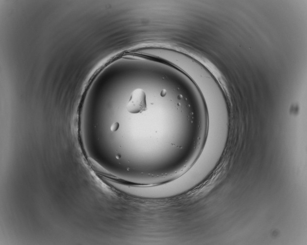 X0000100380807200806061217