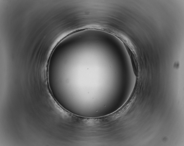 X0000100380808200806061217